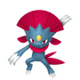 kam! kam!